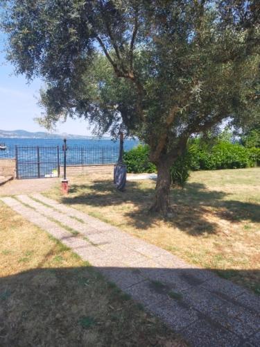 Independent Villa With Private Beach On The Lake Bracciano  Buitenkant foto