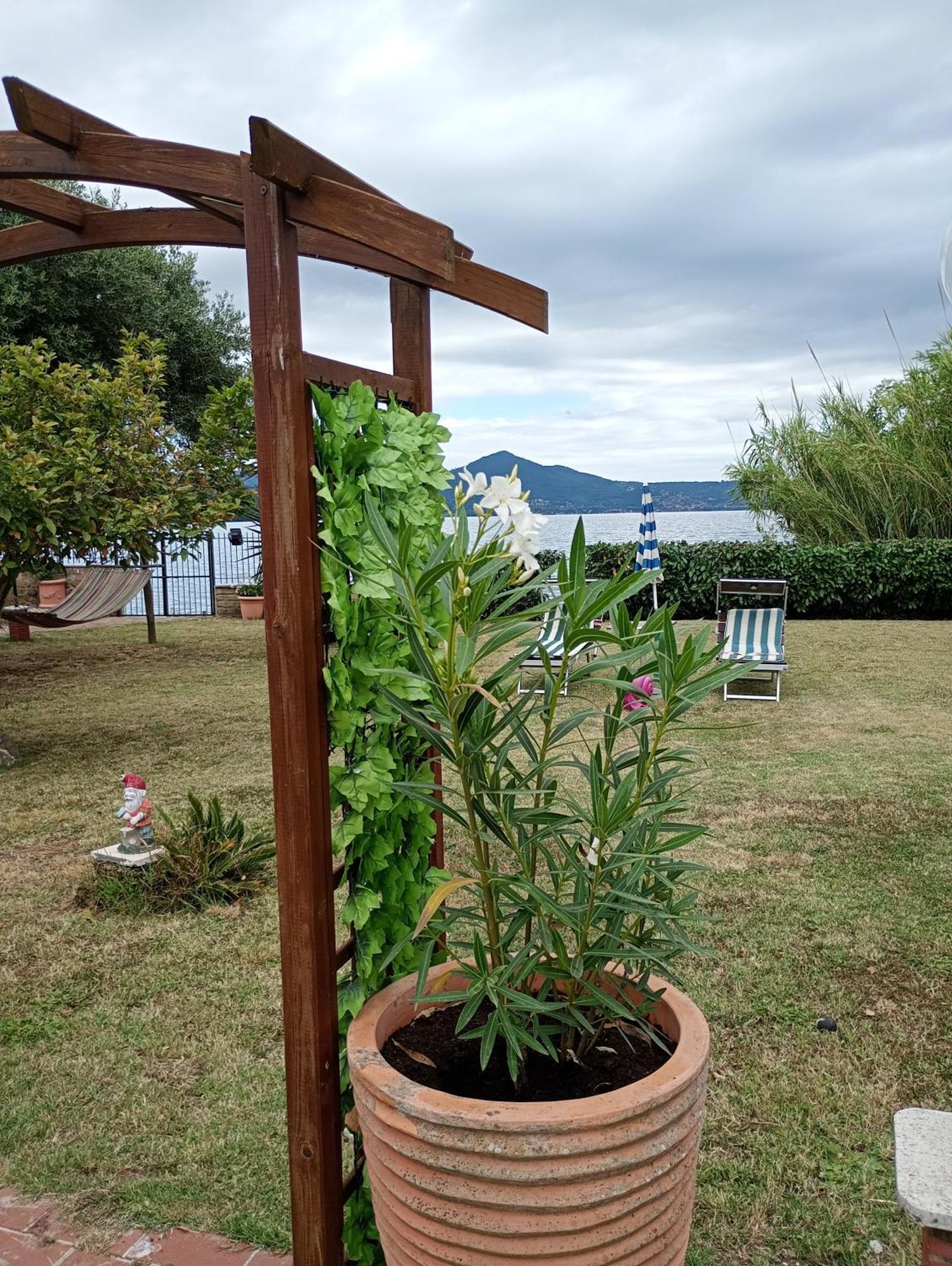 Independent Villa With Private Beach On The Lake Bracciano  Buitenkant foto